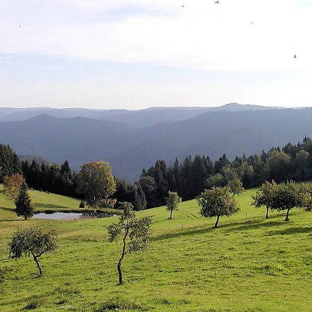 Schanzenberghof Hornberg Exterior foto