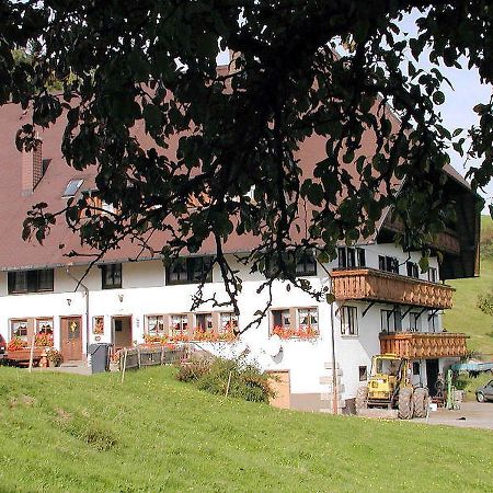 Schanzenberghof Hornberg Exterior foto