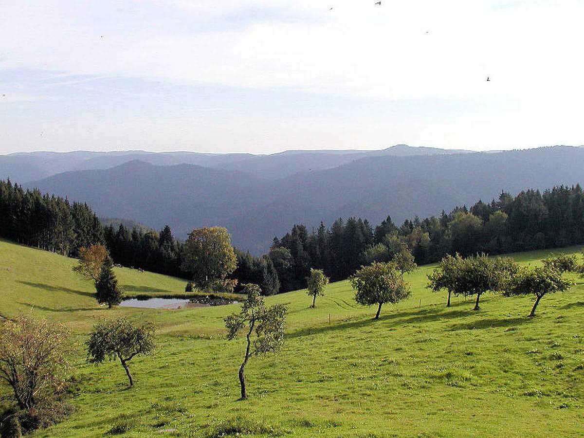 Schanzenberghof Hornberg Exterior foto